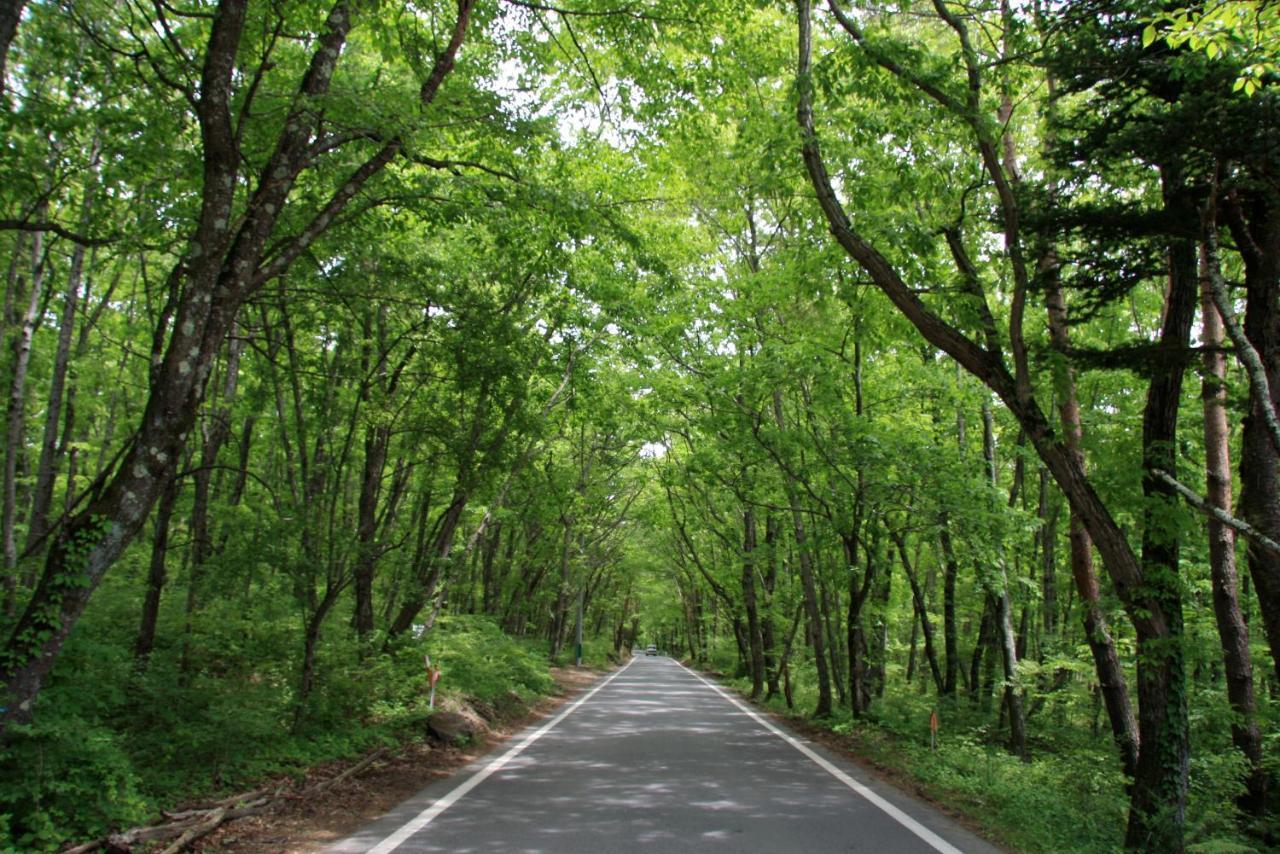 Twin-Line Hotel Karuizawa Japan المظهر الخارجي الصورة