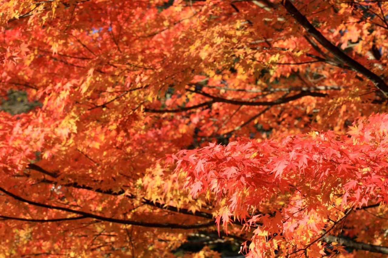 Twin-Line Hotel Karuizawa Japan المظهر الخارجي الصورة